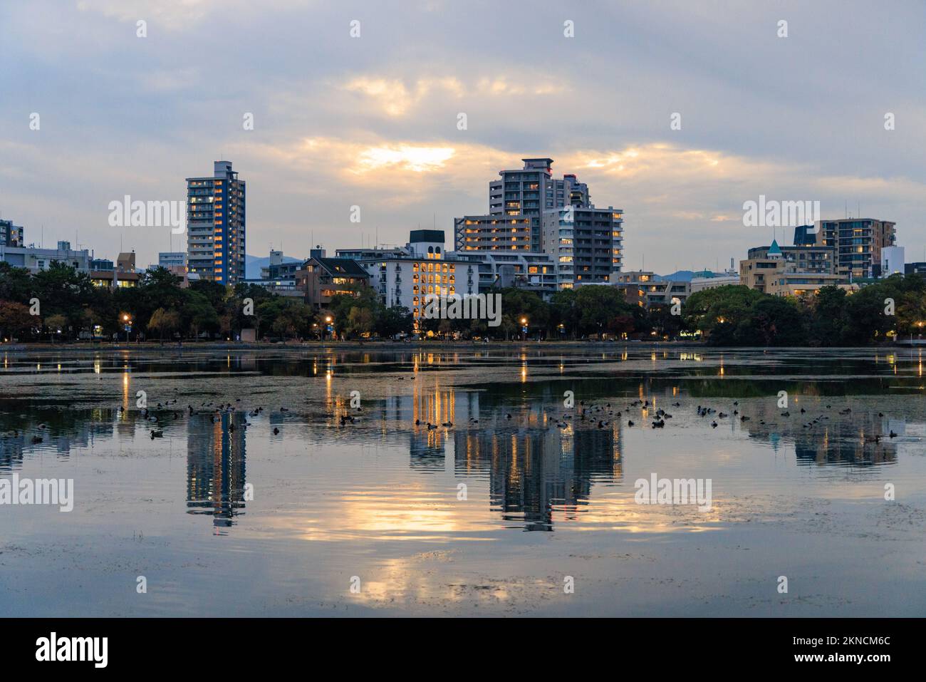 Apartment buildings with lights on after sunset by duck pond Stock
