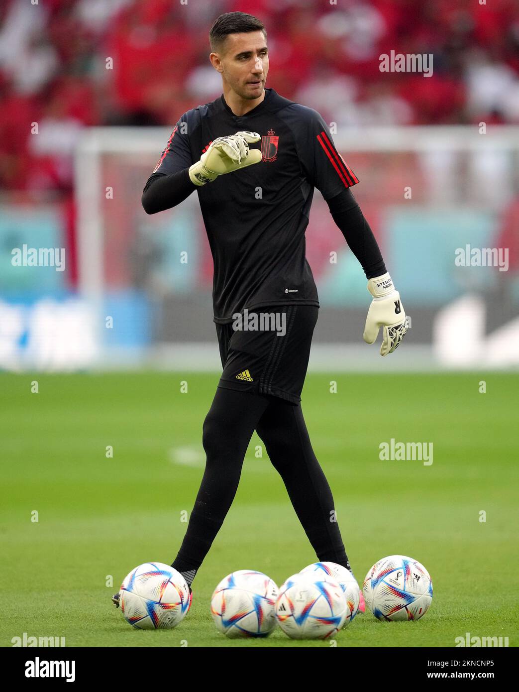 Belgium goalkeeper Koen Casteels during the FIFA World Cup Group F match at the Al Thumama Stadium, Doha, Qatar. Picture date: Sunday November 27, 2022. Stock Photo