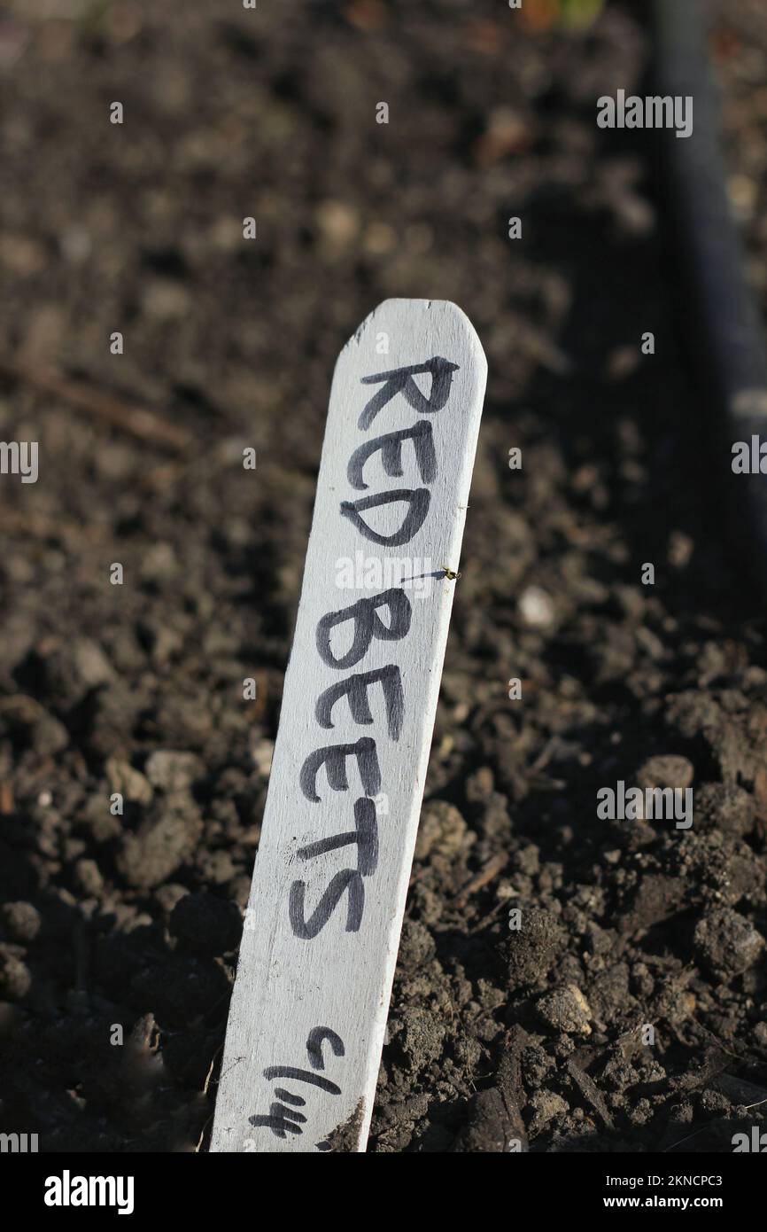 Typical common plastic garden stake with handwritten text Stock Photo Alamy