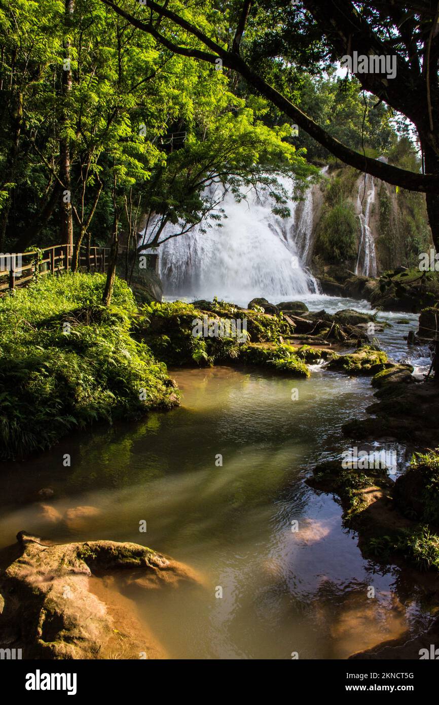 A vertical shot of a waterfall in the green forest Stock Photo - Alamy