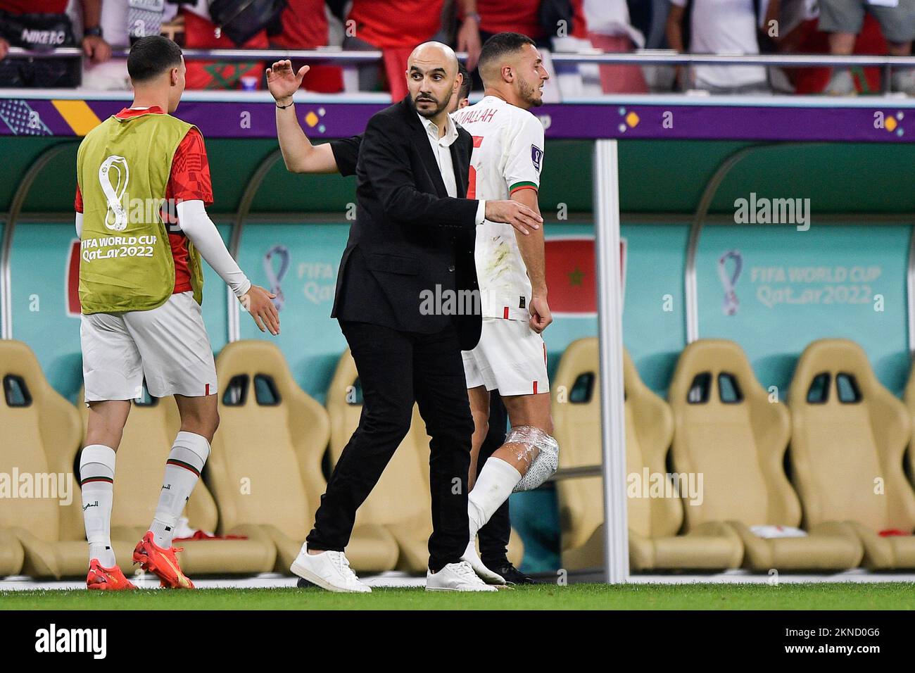 DOHA, QATAR - NOVEMBER 27: Coach Walid Regragui of Morocco during the Group F - FIFA World Cup Qatar 2022 match between Belgium and Morocco at the Al Thumama Stadium on November 27, 2022 in Doha, Qatar (Photo by Pablo Morano/BSR Agency) Stock Photo