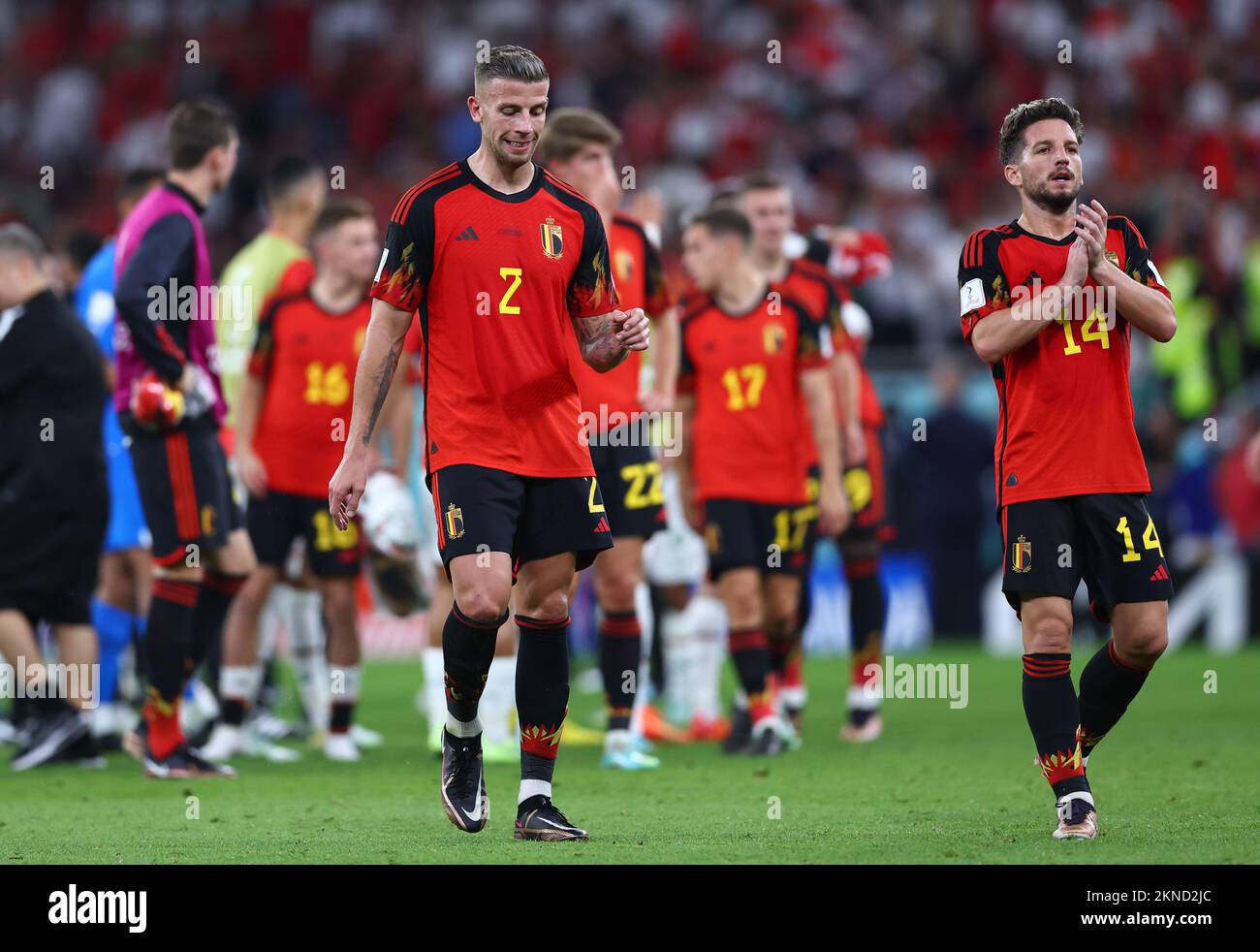 Doha, Qatar. 27th Nov, 2022. Toby Alderweireld of Belgium and Dries Mertens of Belgium dejected during the FIFA World Cup 2022 match at Al Thumama Stadium, Doha. Picture credit should read: David Klein/Sportimage Credit: Sportimage/Alamy Live News Stock Photo