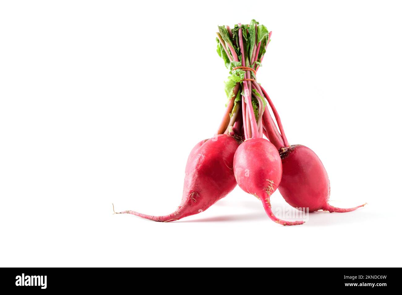Red Radish isolated on white, healthy food. High in calcium, phosphorus