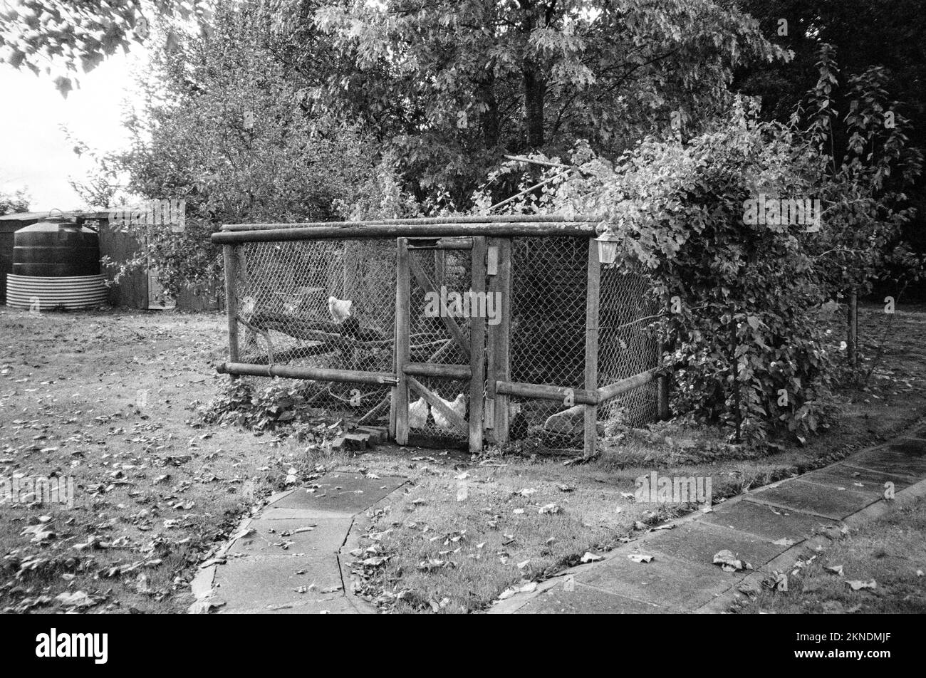 Chicken hutch, Medstead, Hampshire, England, United Kingdom Stock Photo