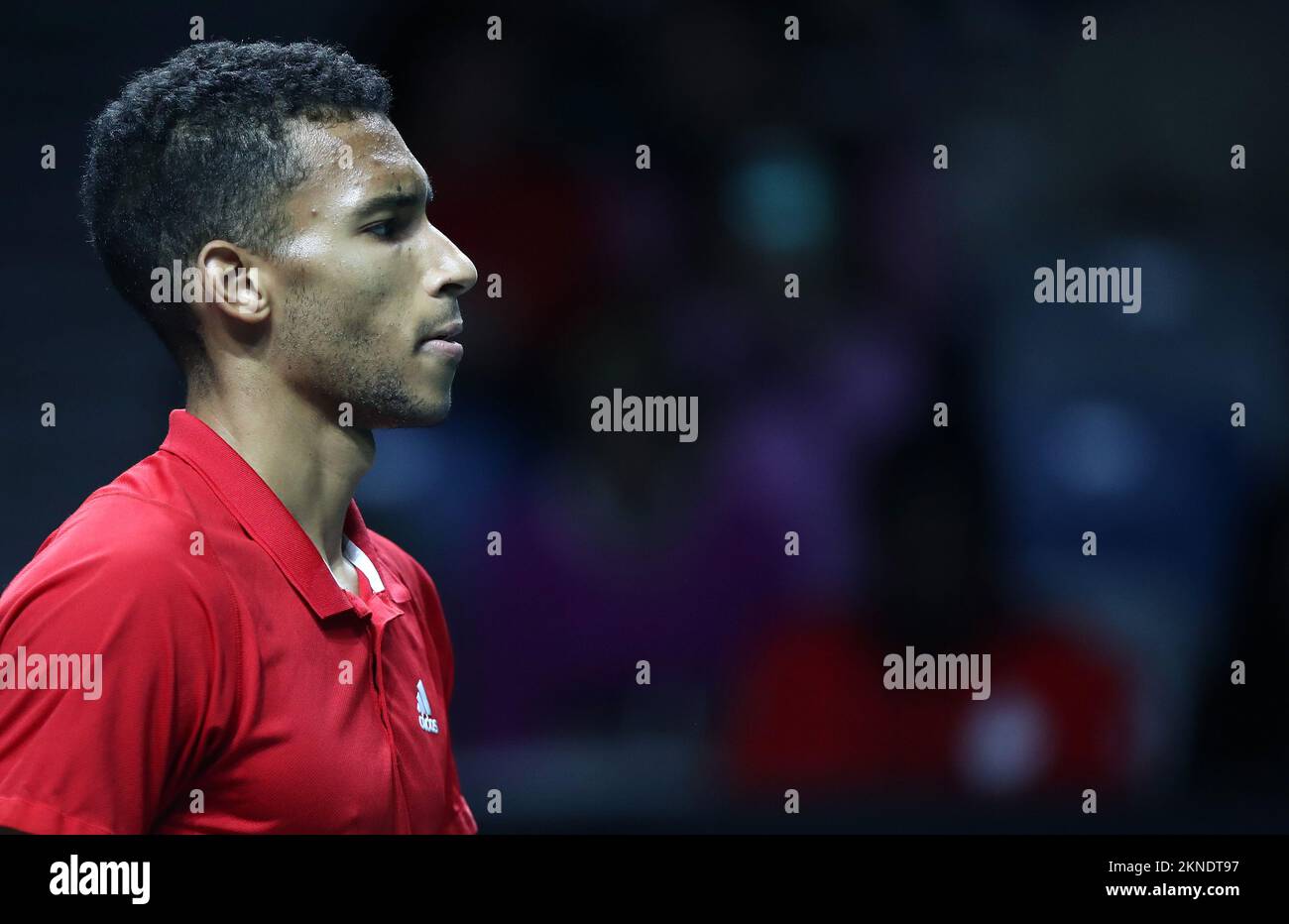 Malaga, Spain. 27th Nov, 2022. Felix Auger-Aliassime of Canada looks on  during the Davis Cup by Rakuten Finals 2022 match between Canada and  Australia at Palacio de los Deportes Jose Maria Martin