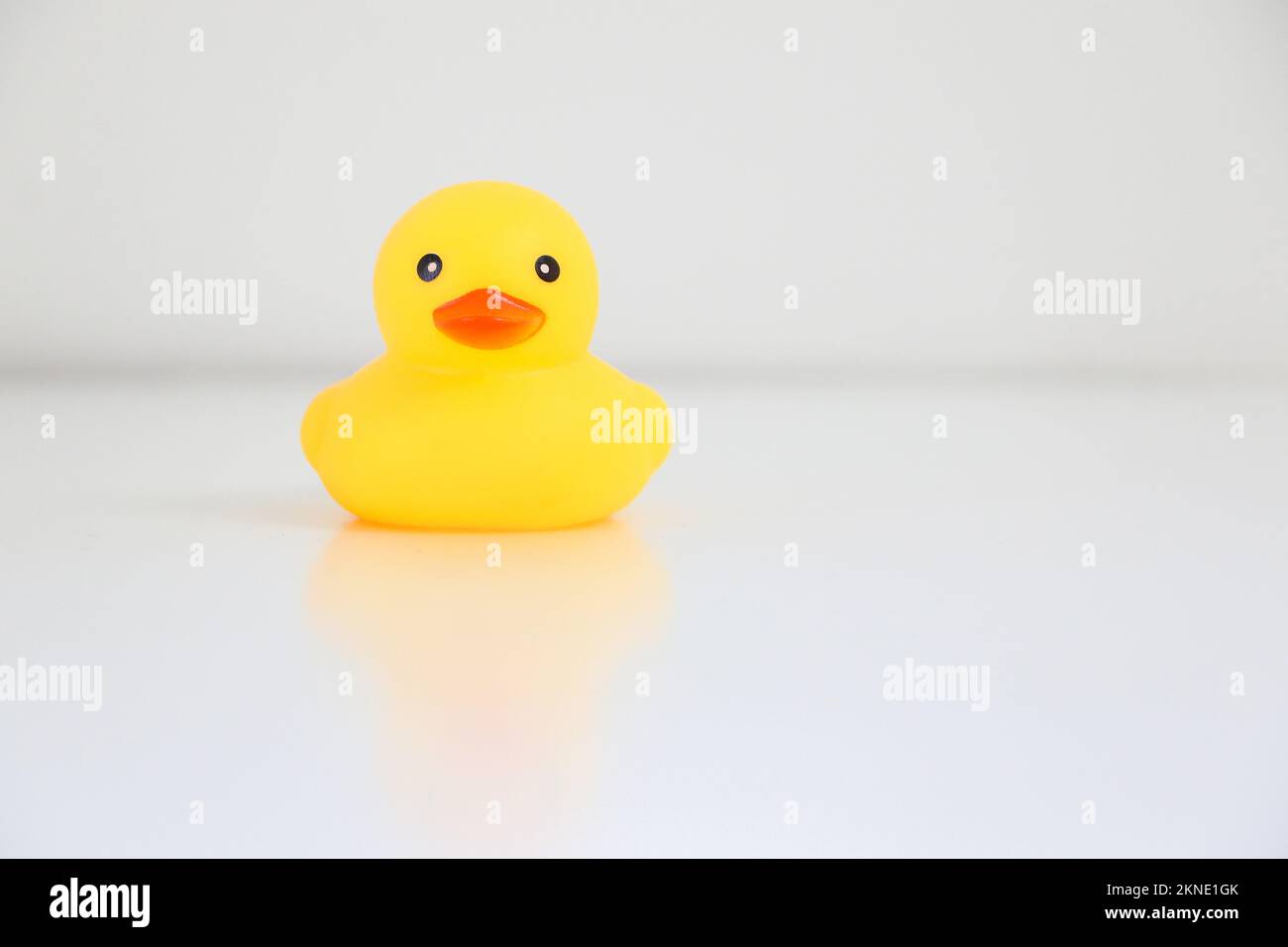 A single squeaky clean yellow rubber duck on left, copy space on the
