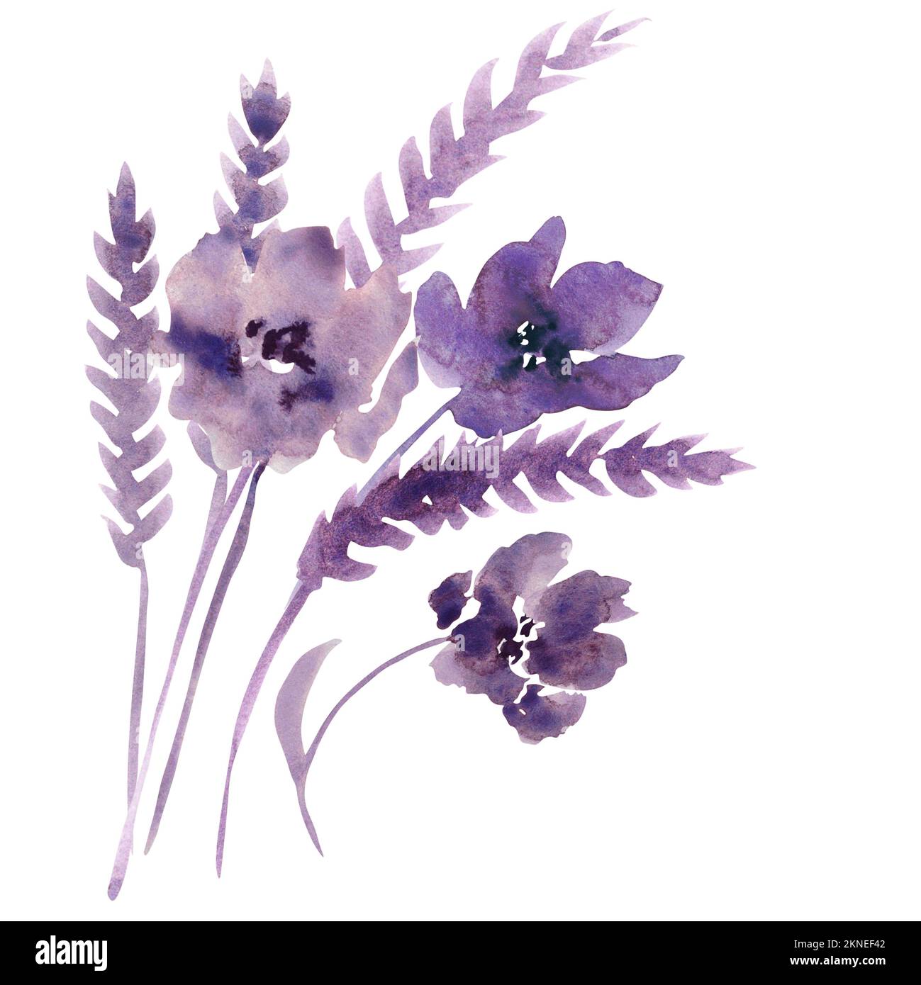 Bouquet. Watercolor wildflowerst. Purple flowers clipart. Floral clip art.  Handmade illustration for greeting cards, wallpaper, stationery, fabric, we  Stock Photo - Alamy, image size:1299x1390