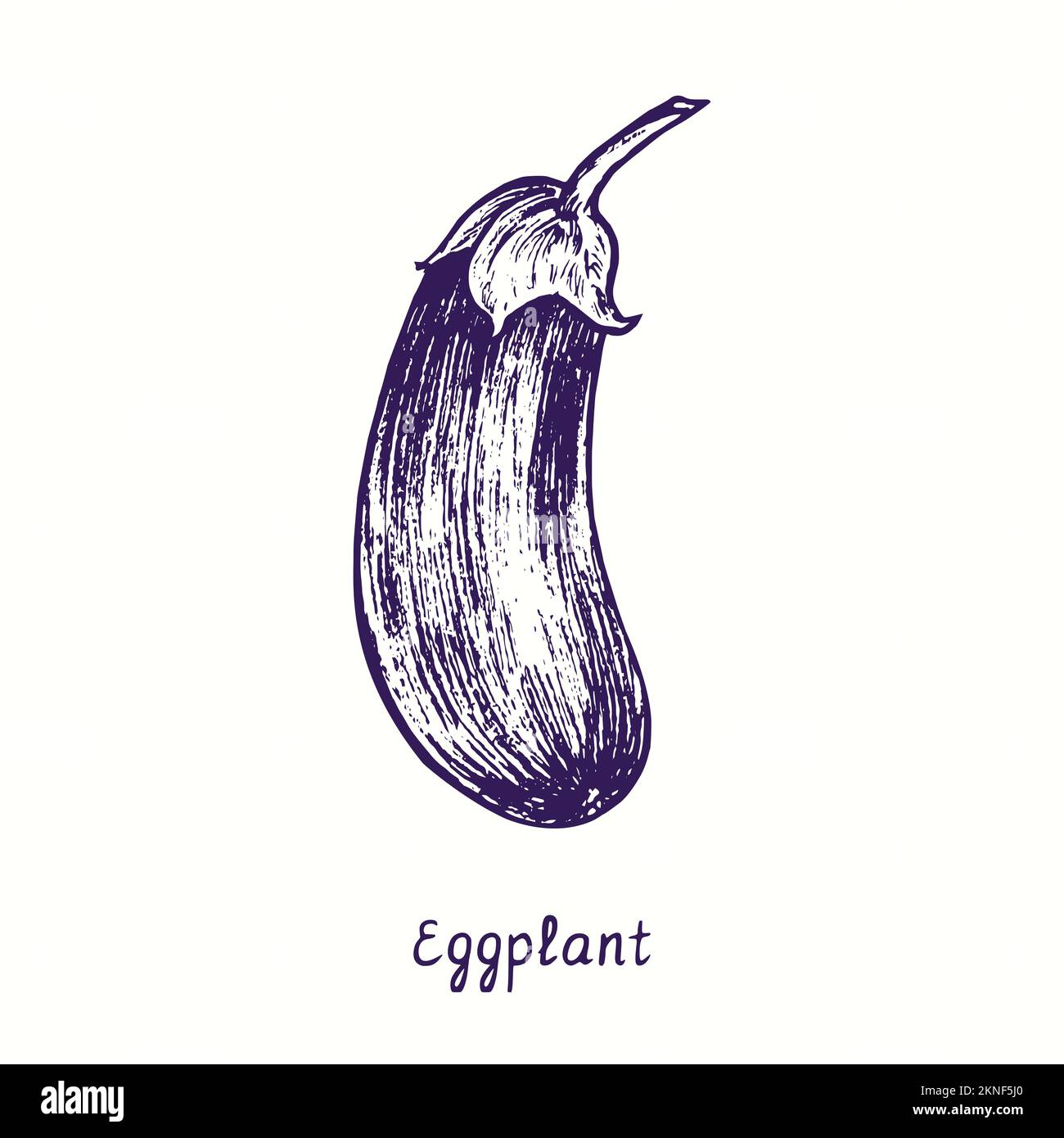 Eggplant whole. Ink black and white doodle drawing in woodcut style Stock Photo