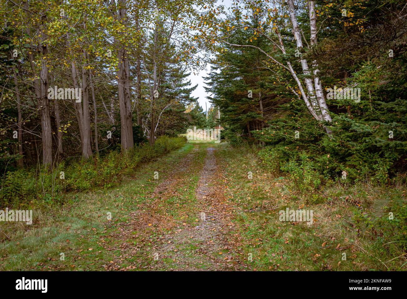 Garrison Road, mcnabs island, Halifax, Nova Scotia, Canada Stock Photo
