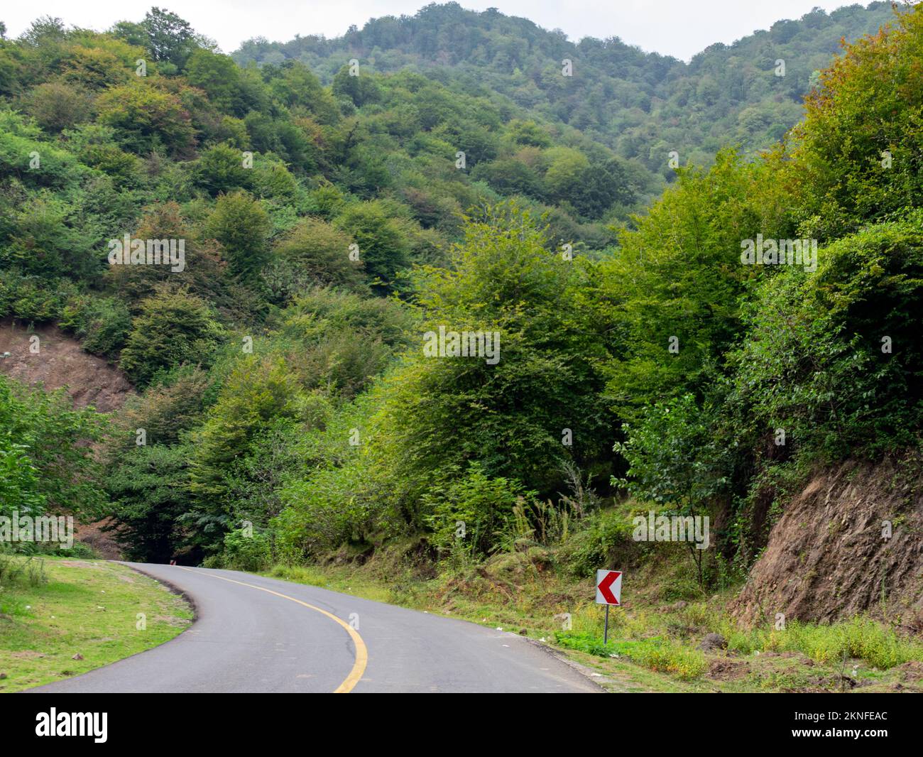 A road in the wooded mountains Stock Photo