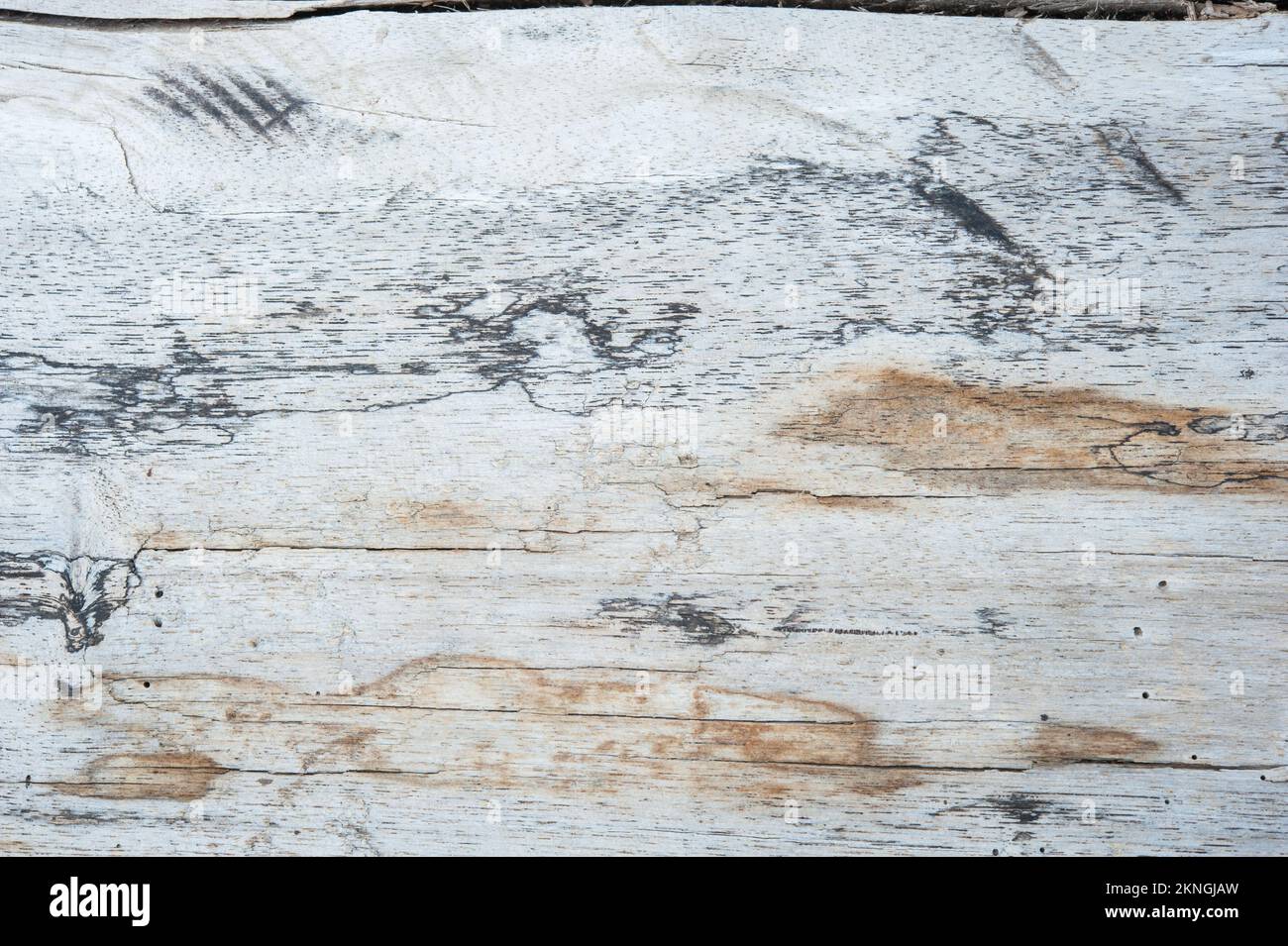 Wood floors textures, Texture natural wooden, High resolution Stock