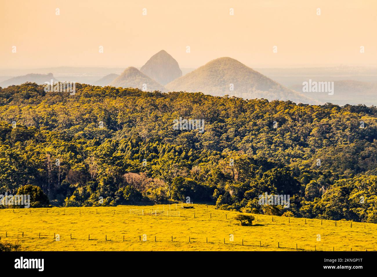 Vibrant afternoon landscape on lush farm fields before mountains and