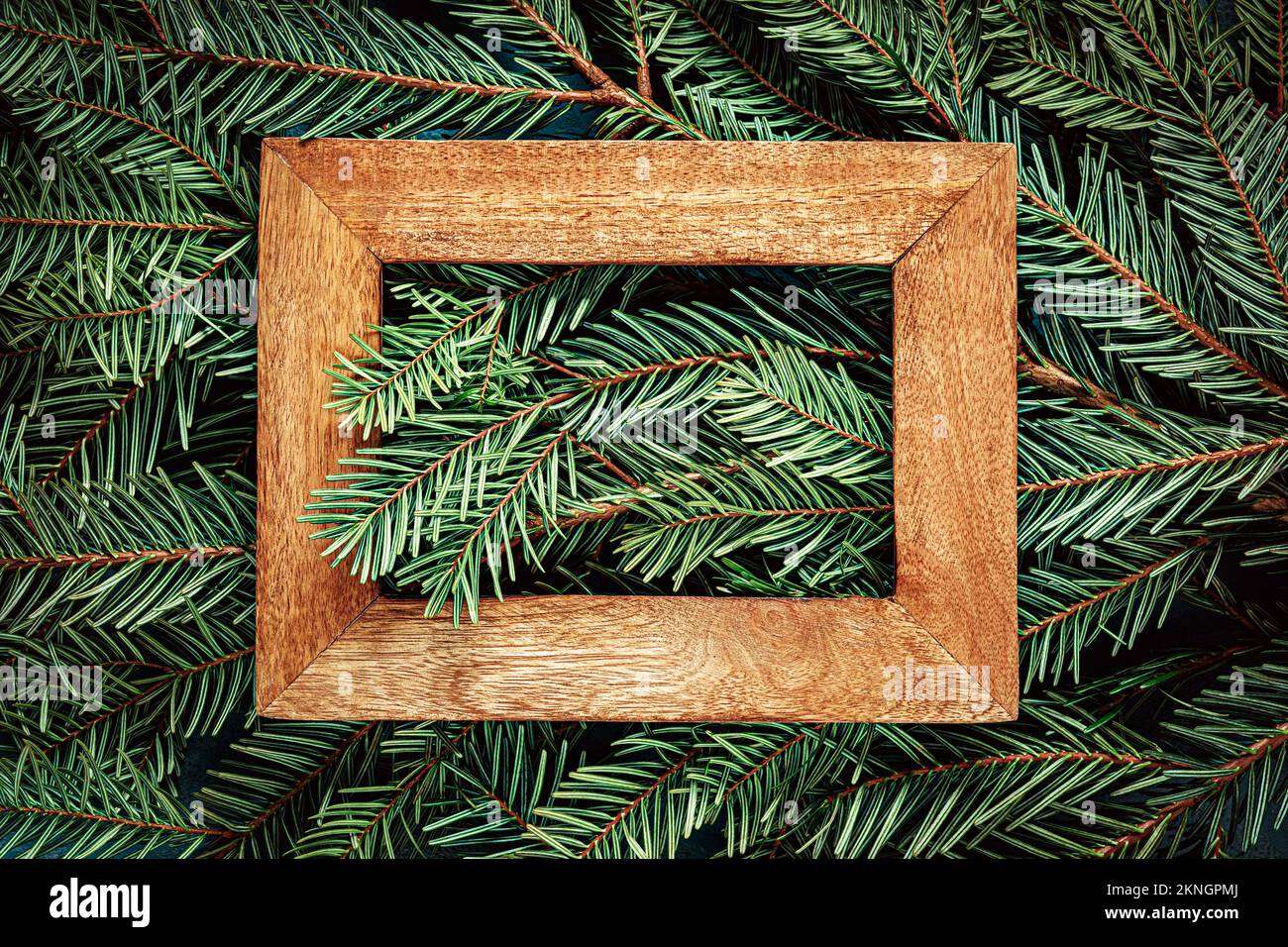 Wooden frame on Christmas tree branches. Texture background Stock Photo