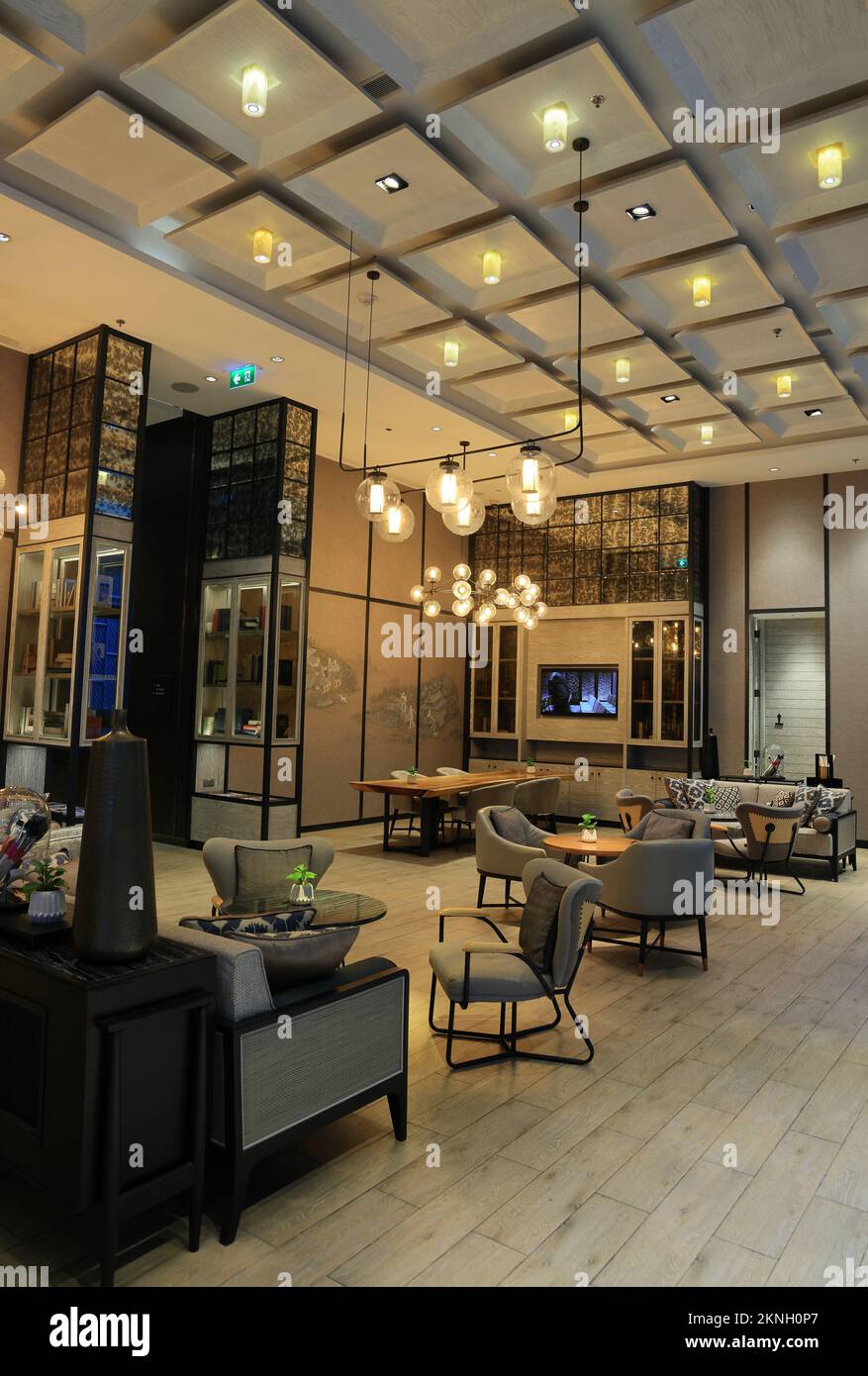 Cozy classic living zone, Lobby lounge for support customer in public