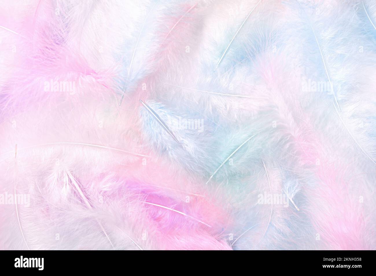 Many colored soft feathers hi-res stock photography and images - Alamy