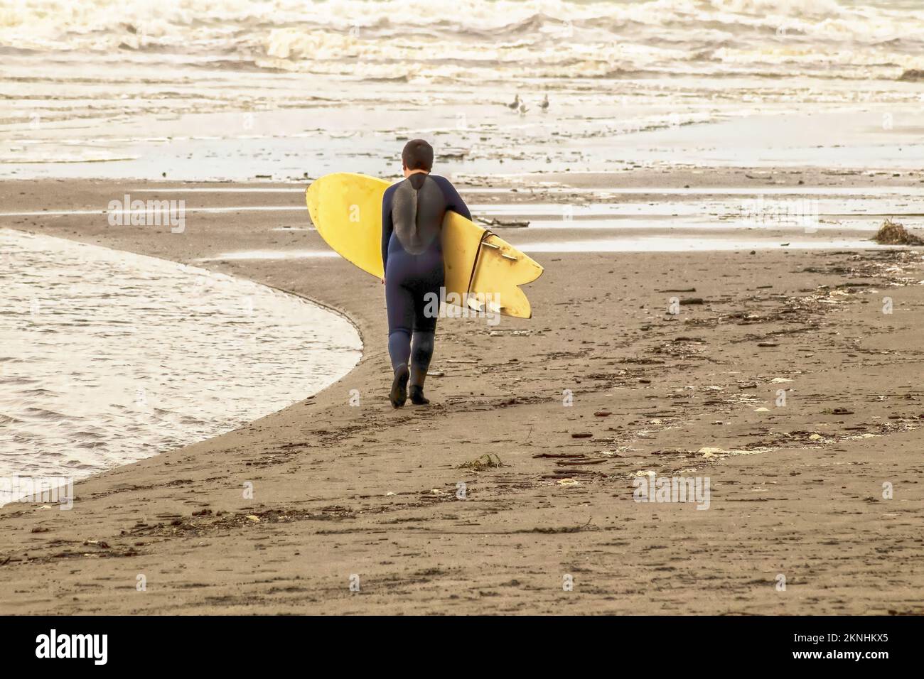 Young boy walking toward ocean with wetsuit and yellow surfboard - almost monochromatic in browns and ochers Stock Photo