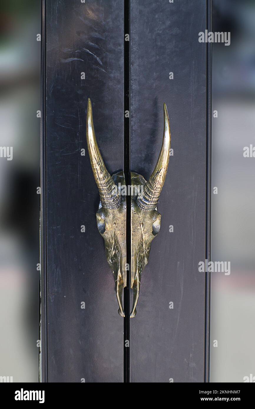 Glass doors meeting in middle with brass antelope skull handle. Stock Photo