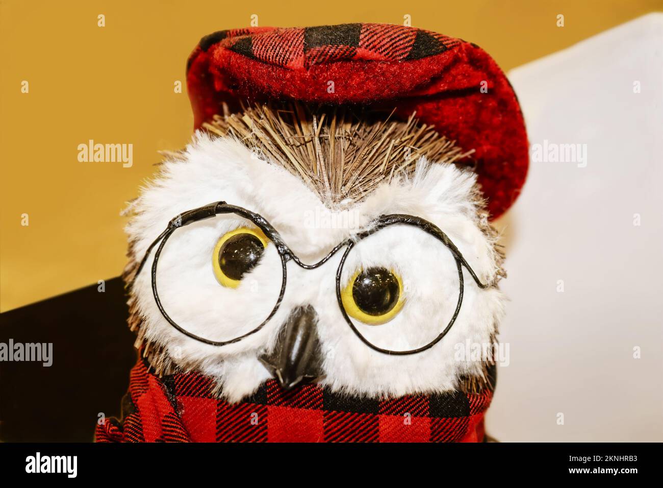Wise winter owl stuffed decoration in wire frame glasses and red and black paid hat and scarf against yellow and white and black color blocked backgro Stock Photo