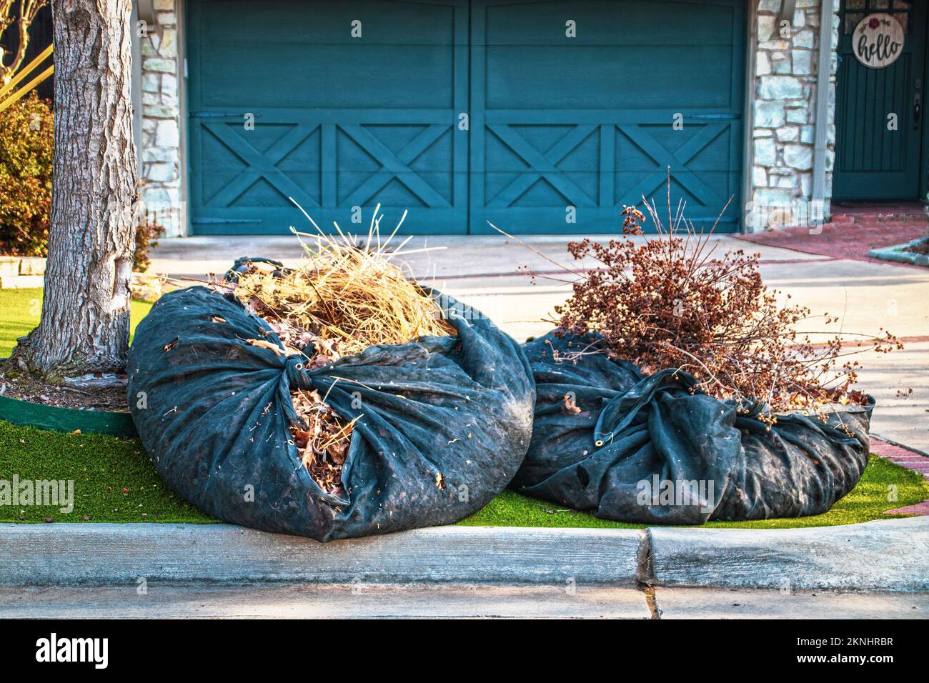 Yard clean-up - Two old tarps filled with weeds and dead tree debris sitting by curb in front of garage doors on articificial turf lawn Stock Photo