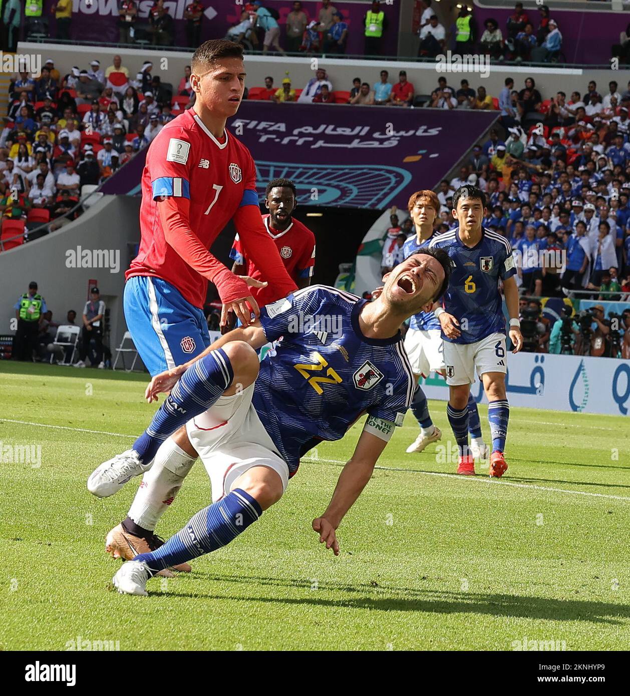 Doha, Qatar. 27th Nov, 2022. Japan's MAYA YOSHIDA is injured during their World Cup 2022 Group Stage, Group E loss against Costa Rica at Ahmadbin Ali Stadium. (Credit Image: © Seshadri Sukumar/ZUMA Press Wire) Stock Photo