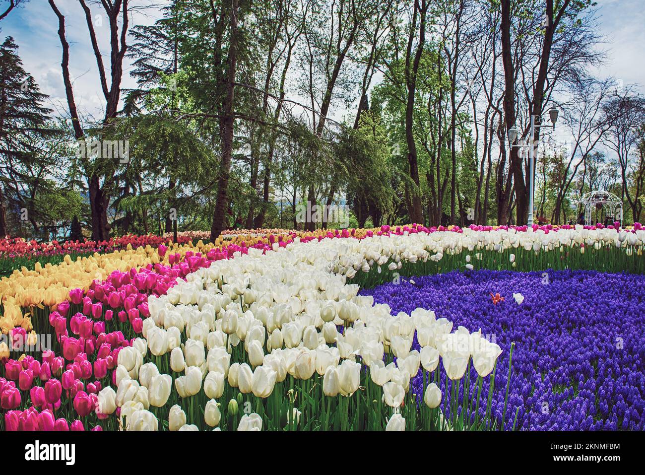 Emirgan Park, Istanbul Stock Photo