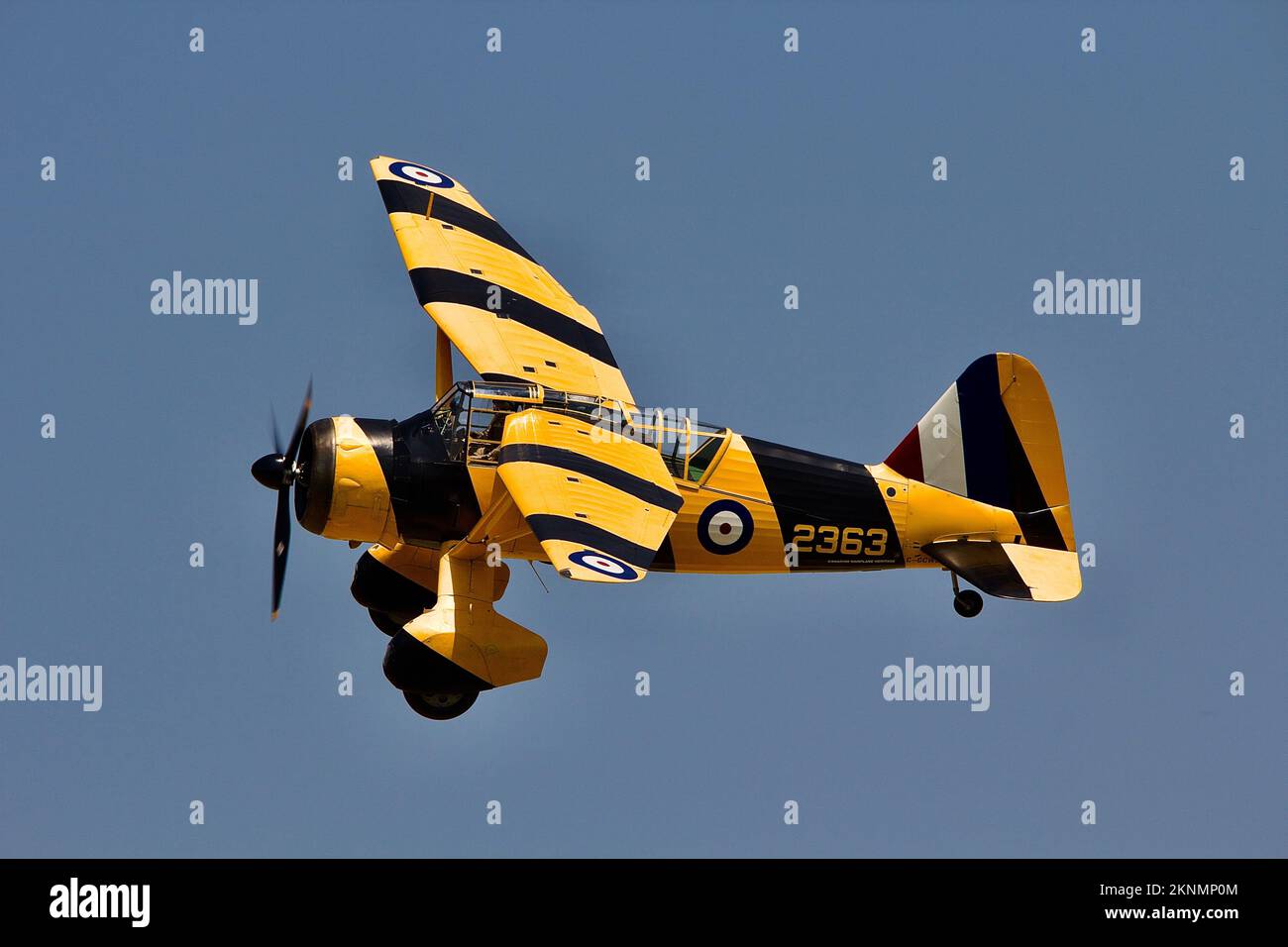 Westland Lysander aircraft Stock Photo Alamy