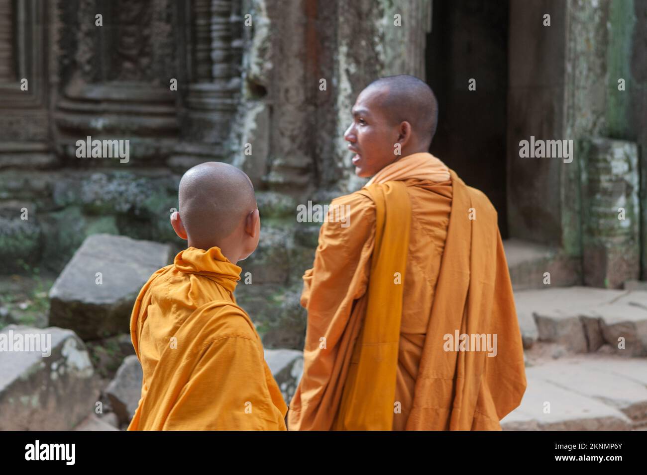 Novice monks in their saffron robes in the outer courtyard of Ta Prohm, Angkor, Siem Reap, Cambodia Stock Photo