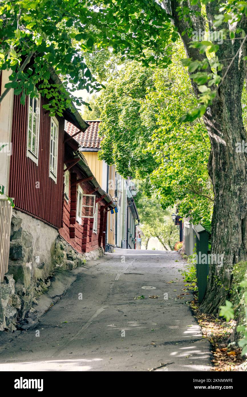 A vertical shot of a narrow street under green trees Stock Photo - Alamy
