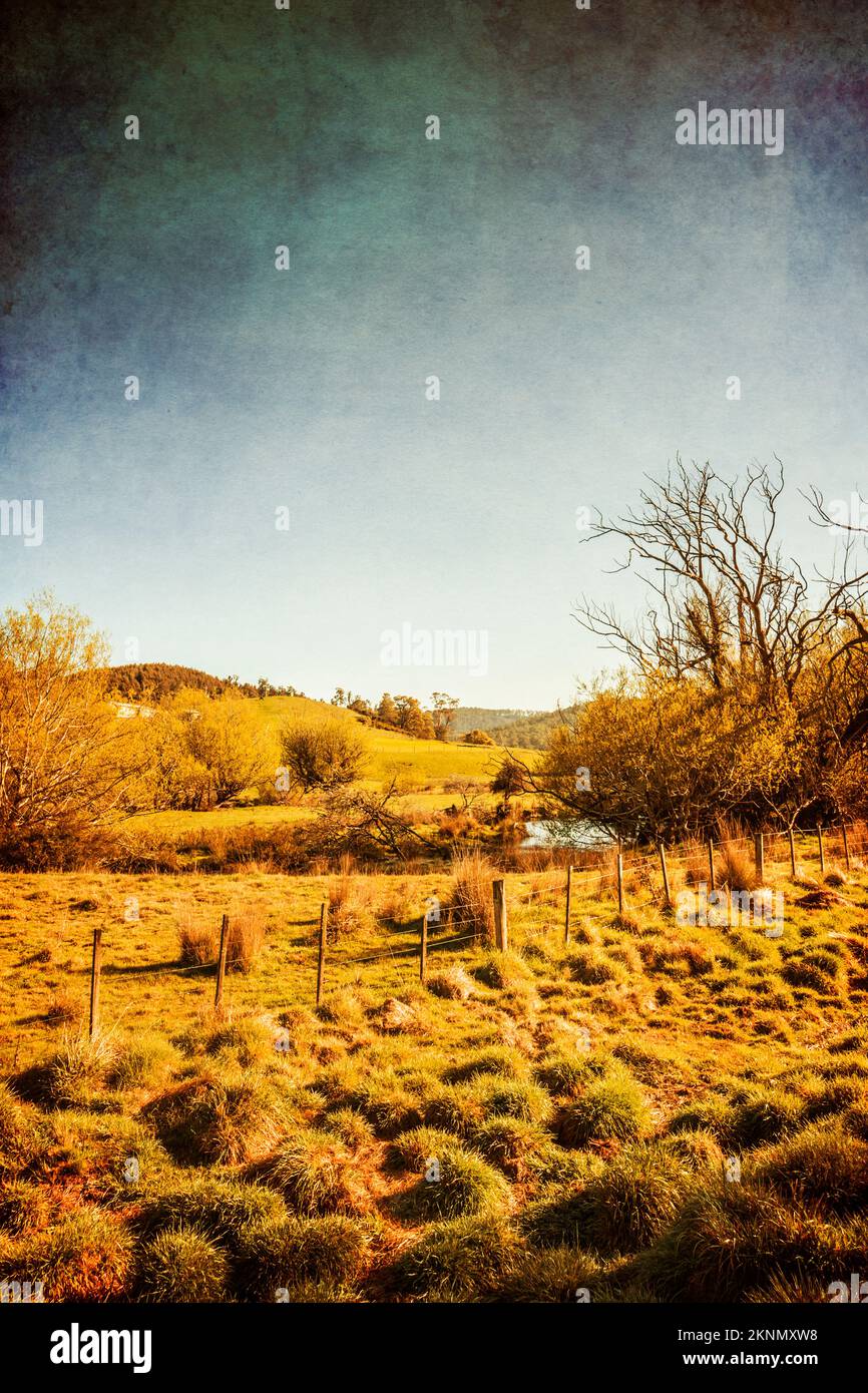 Rustic textured landscape on a scenic country farm with fenceline on