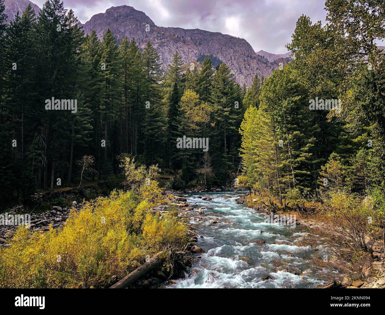 Vallystream Pool A scenic view of a river stream passing through a valley surrounded by ...