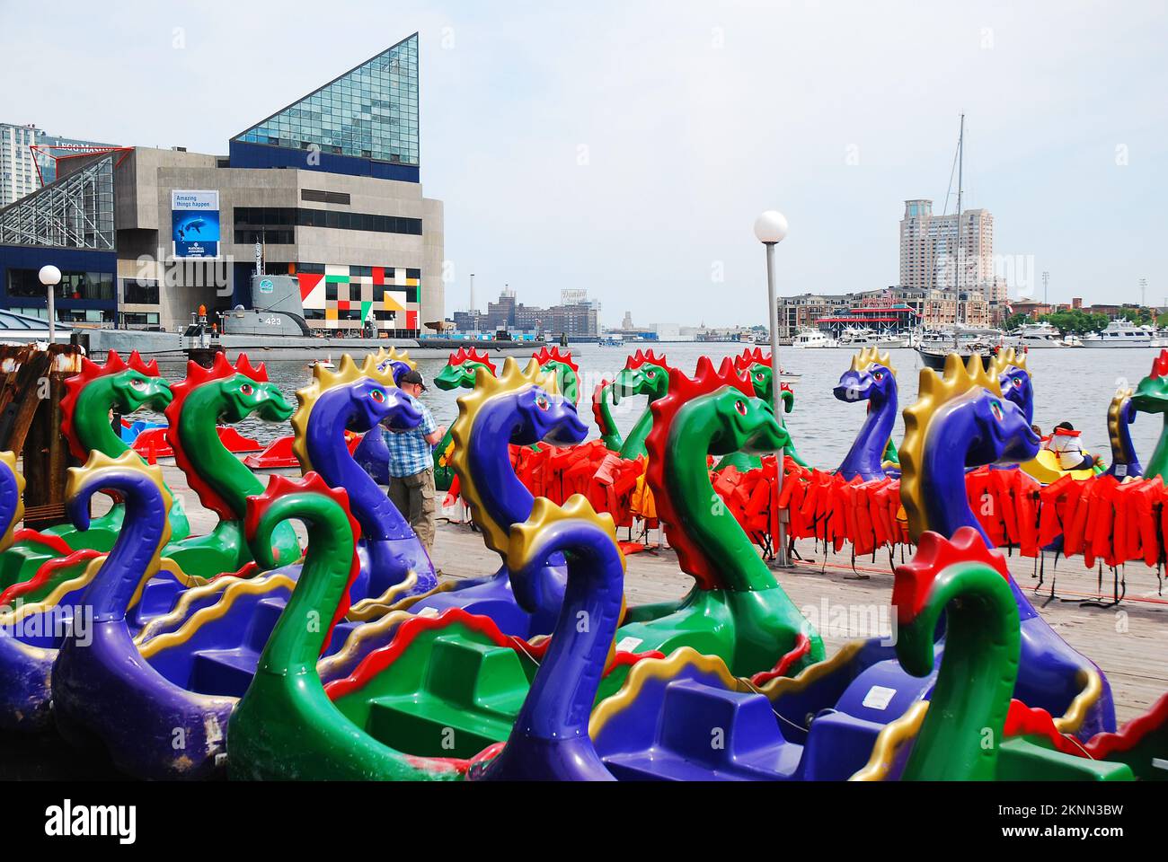 Dragon pedal boats are stored in the Inner Harbor area of Baltimore