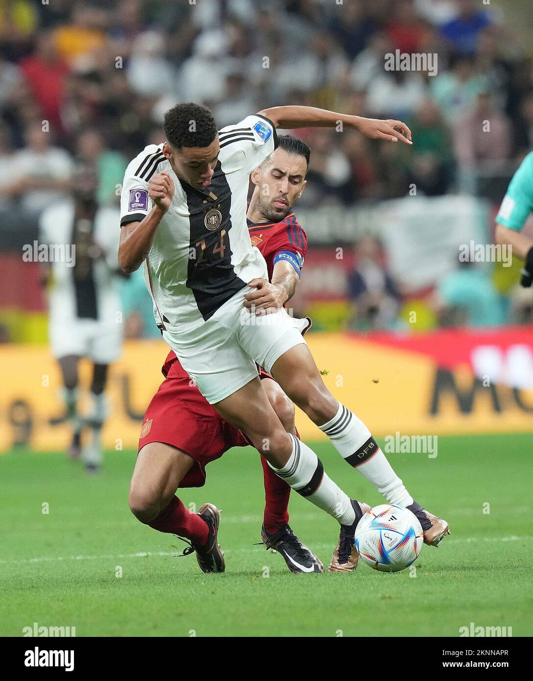 November 27th, 2022, Ahmad bin Ali Stadium, Doha, QAT, World Cup FIFA ...