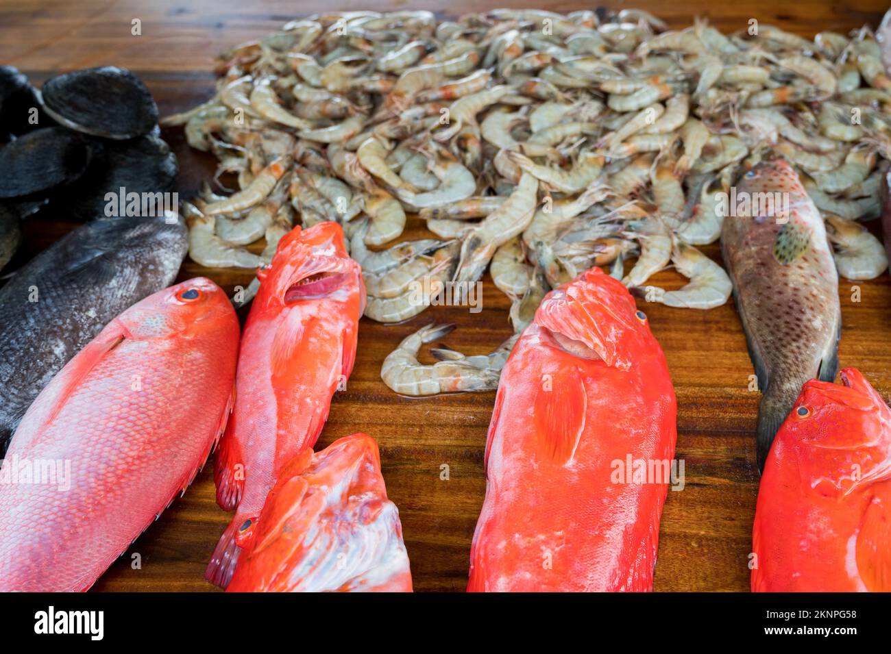 Fresh raw fish and seafood at market Stock Photo Alamy