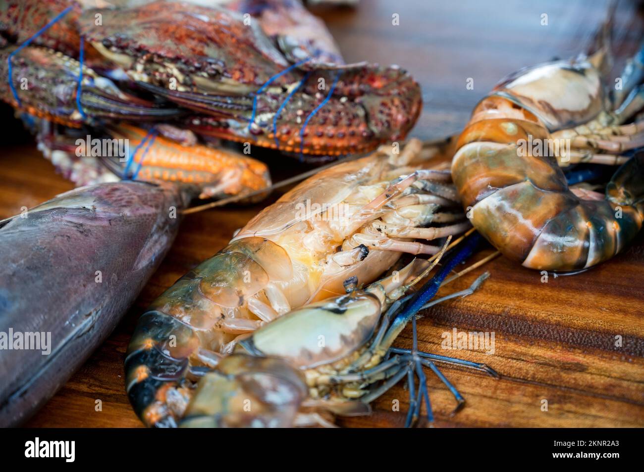 Raw freshwater big jumbo shrimp or prawn Stock Photo Alamy
