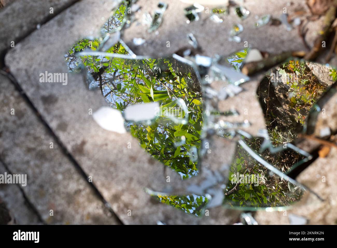 Multiple pieces of broken mirror on grey concrete slab. Green trees reflection. Outdoors garbage. pollution problem. many pieces of glass reflecting Stock Photo