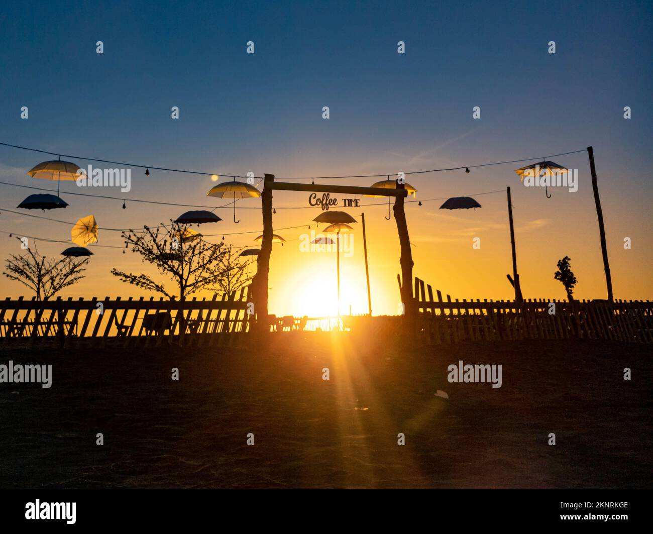 tree silhouette with sunrise in the morning Stock Photo - Alamy