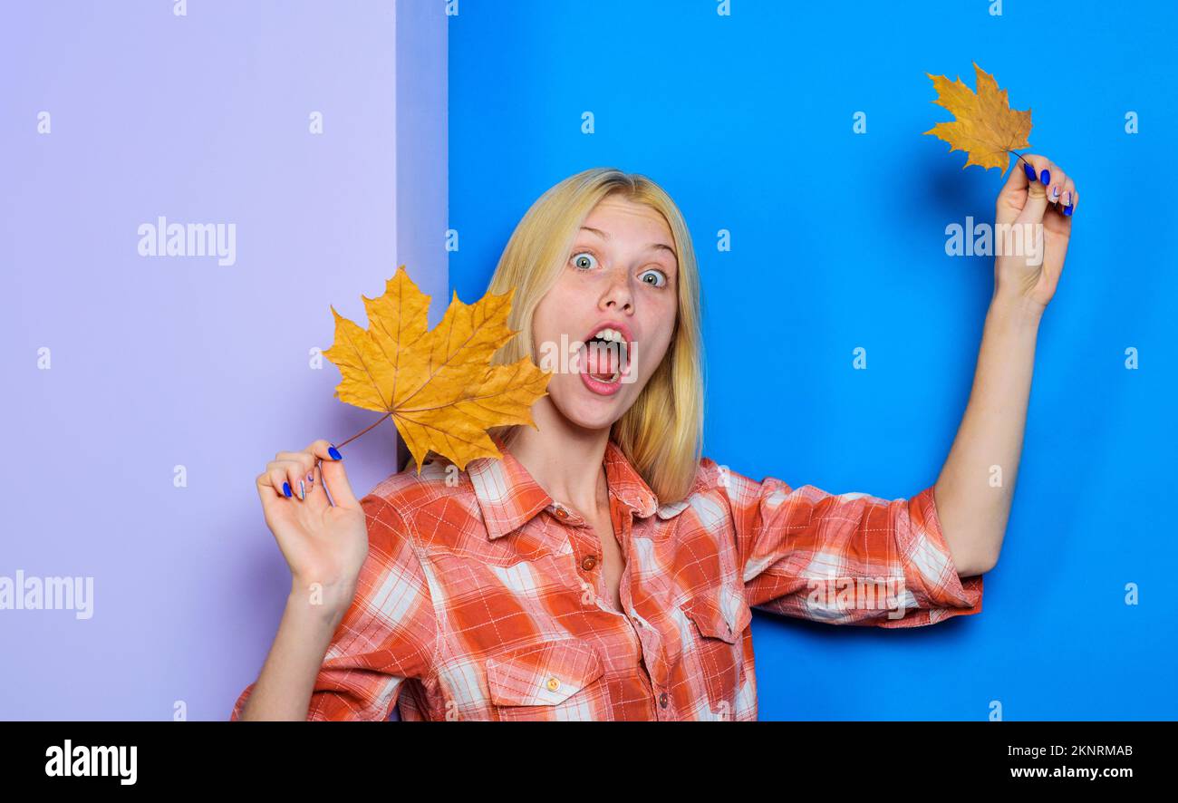 Surprised blonde girl with maple leaves. Autumn woman fashion. Smiling woman playing with leafs. Stock Photo