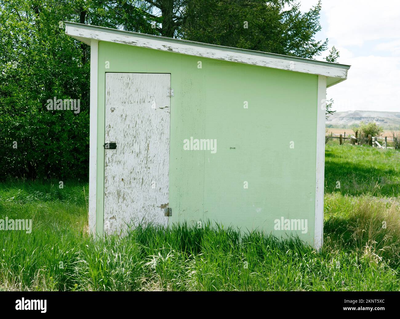 Old green wooden painted storage shed on farm property with tall green grass growing. Paint is peeling, Trim and door are painted white. Roof slants. Stock Photo