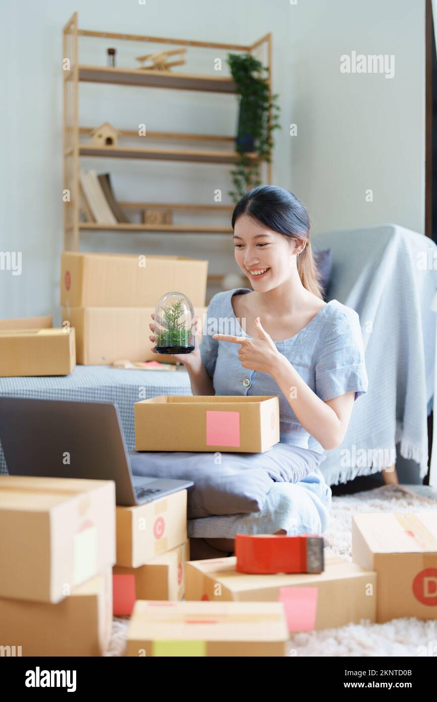 Starting small business entrepreneur of independent young Asian woman online seller using a computer showing products to a customer before making a Stock Photo