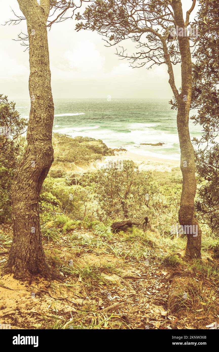 North Stradbroke Island landscape on a tree spanned vista of raised