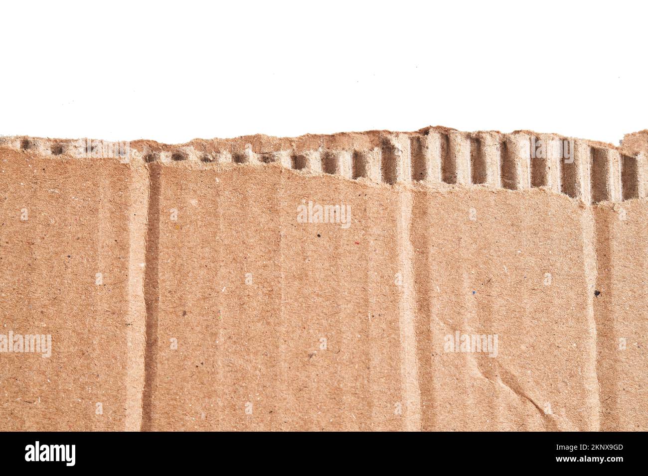One ripped piece of cardboard material over isolated white background ...