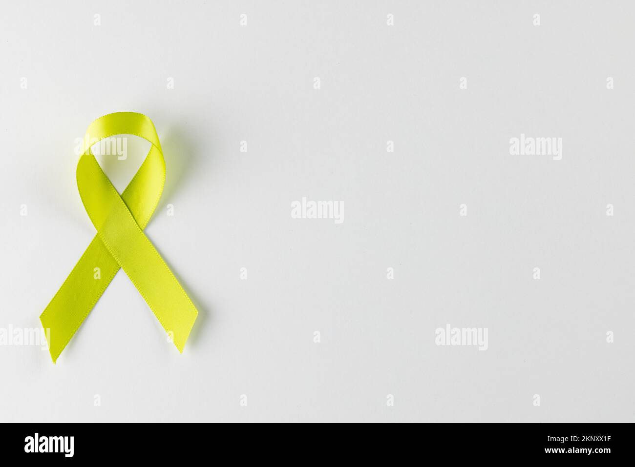Composition of light green std health awareness ribbon, on white background with copy space Stock Photo