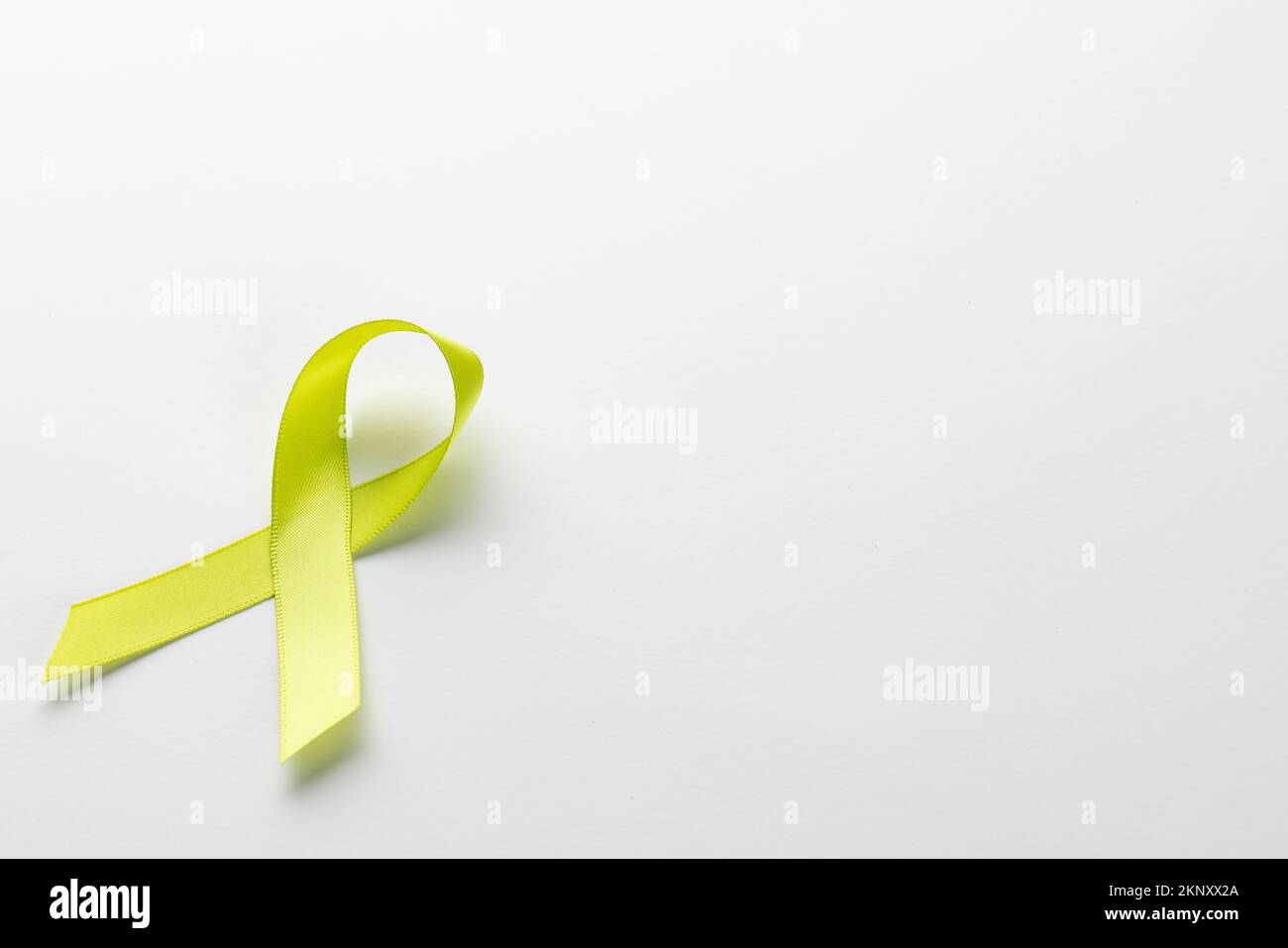 Composition of light green std health awareness ribbon, on white background with copy space Stock Photo