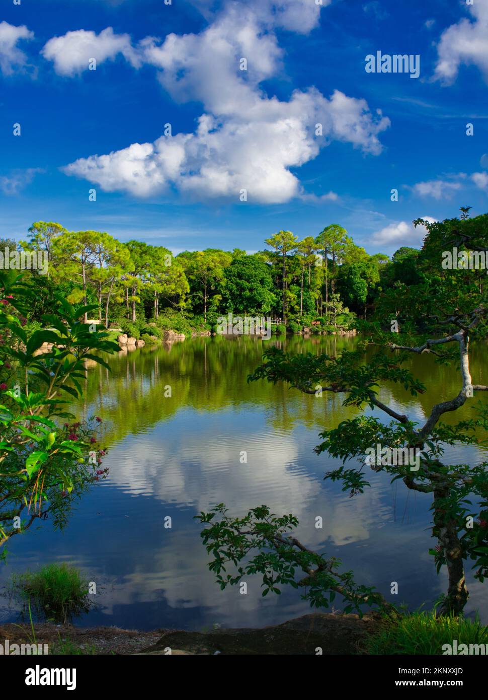 A walk in the park is a great way to get some fresh air enjoy nature