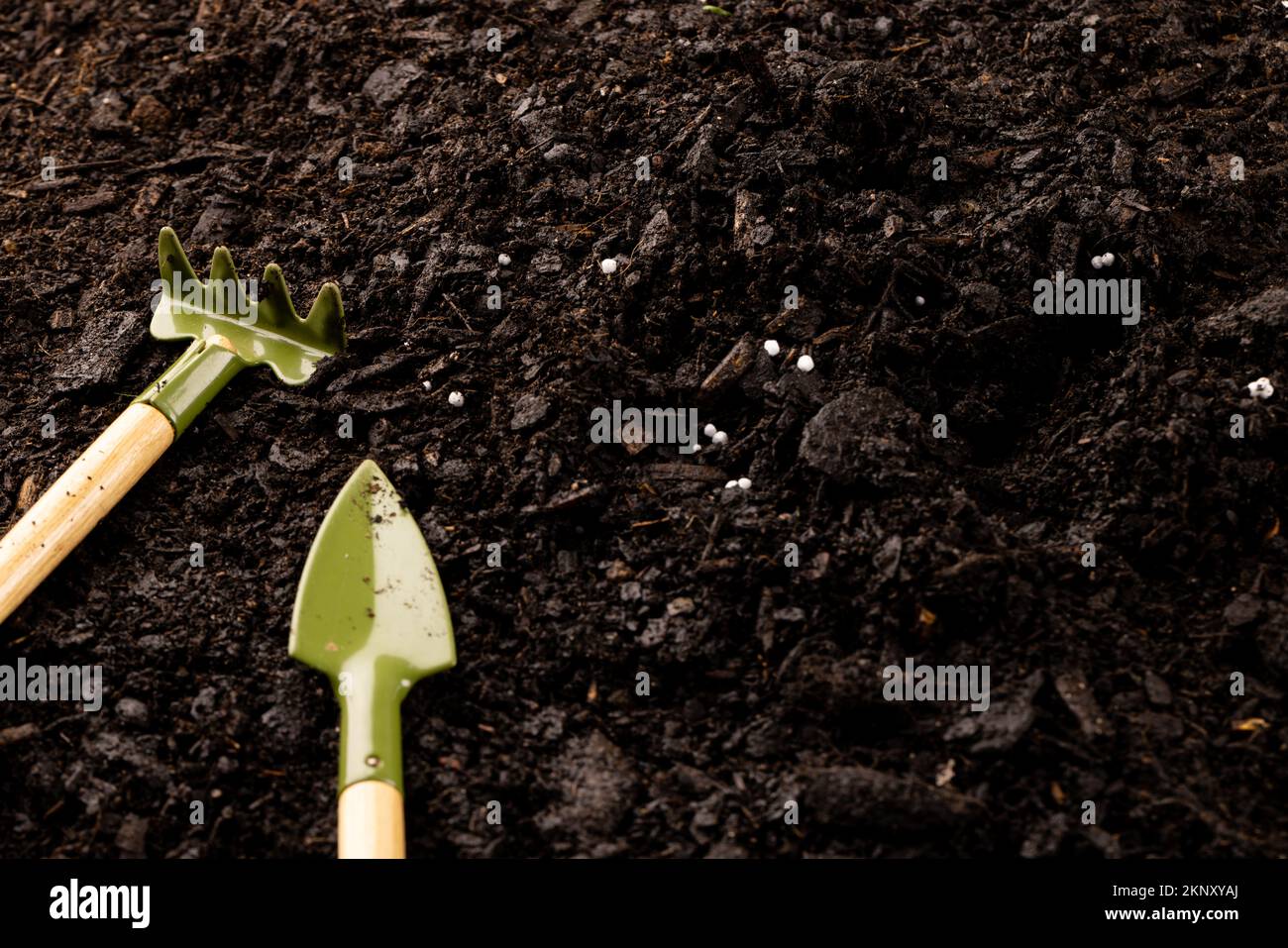 Overhead of miniature gardening trowel and rake on dark soil with ...