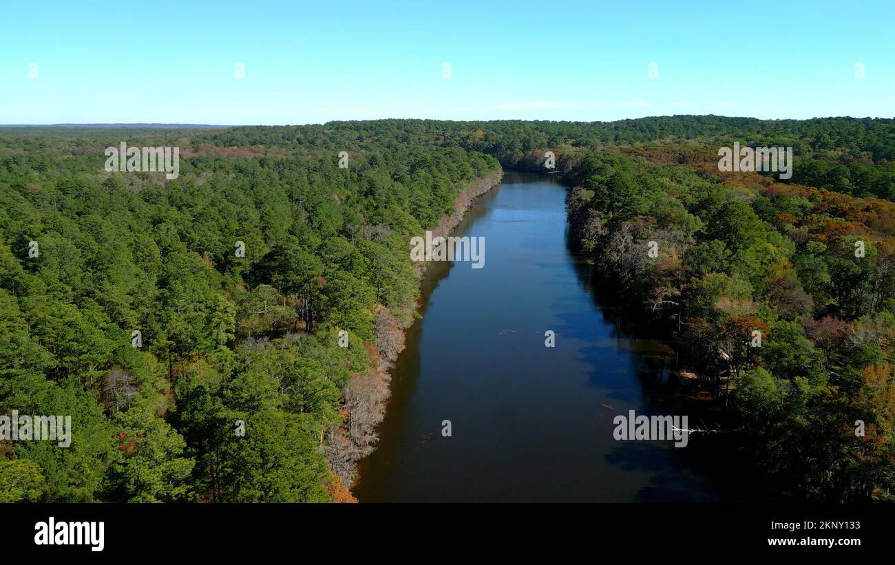 Big Cypress Bayou River at Caddo Lake State Park Stock Photo Alamy
