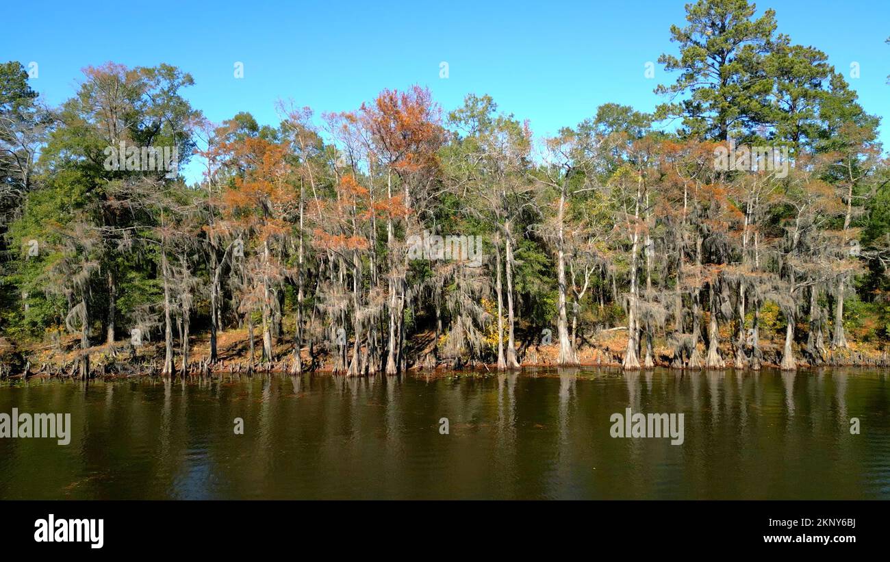 Big Cypress Bayou River at Caddo Lake State Park Stock Photo Alamy