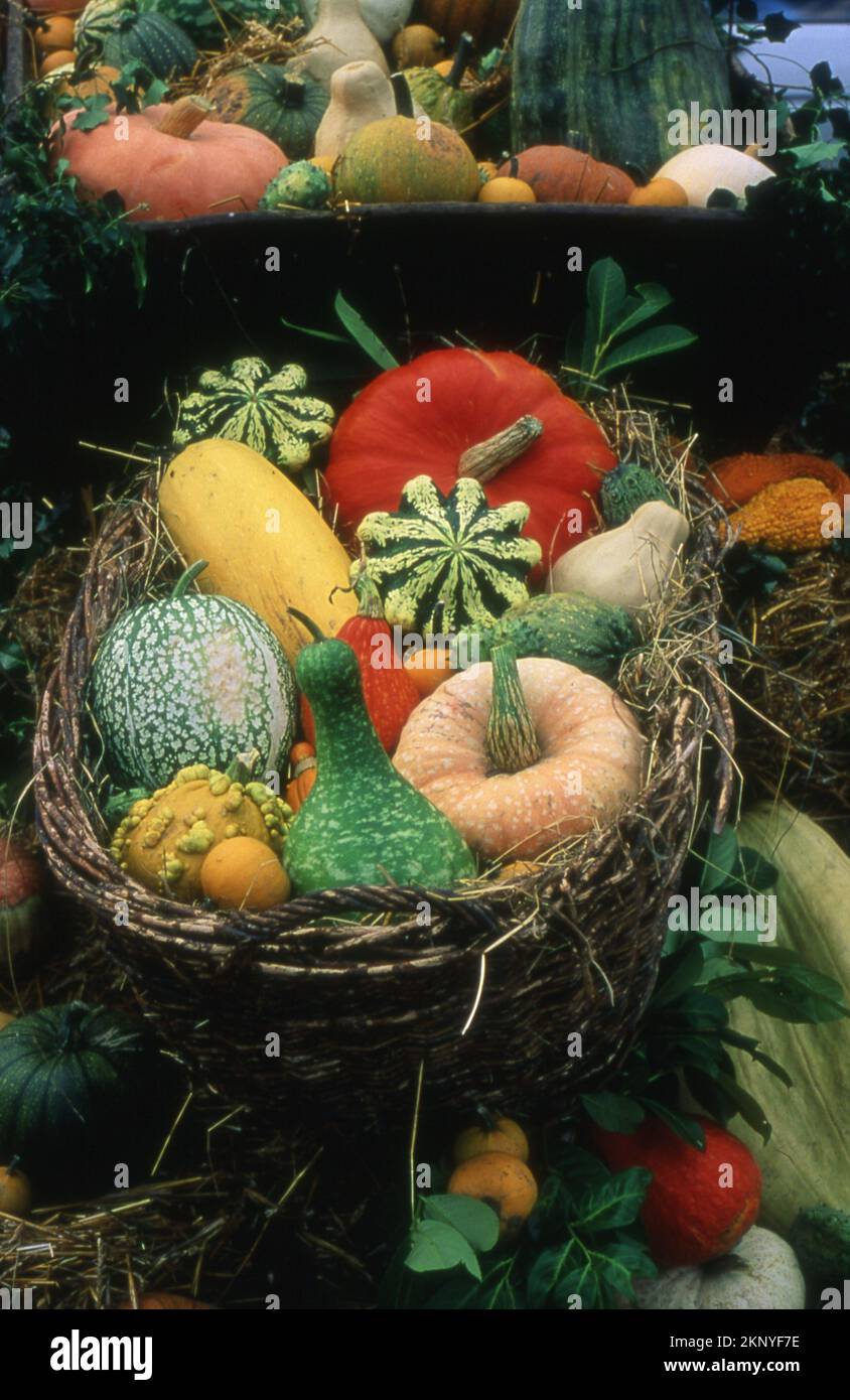A combination of different fruits inside a basket. Stock Photo