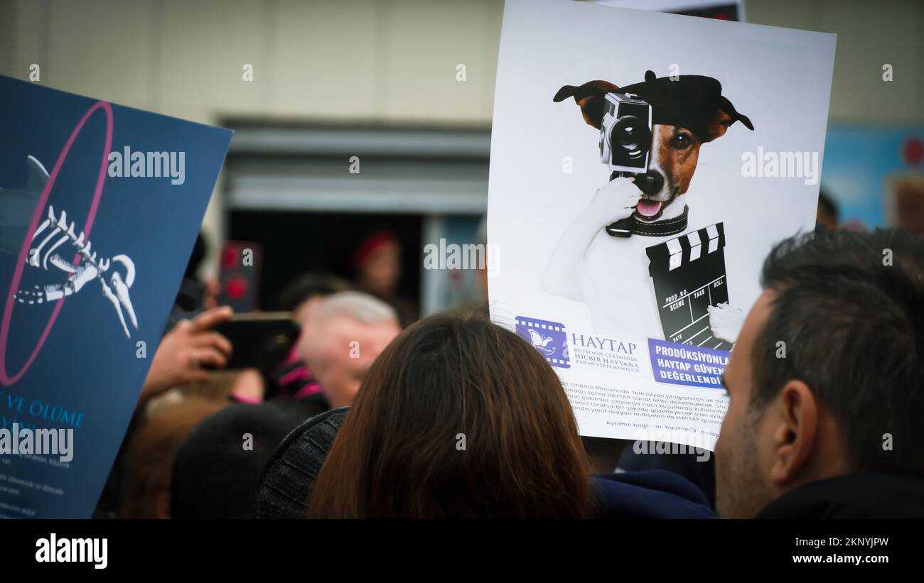 Peta animal rights banner hi-res stock photography and images - Alamy