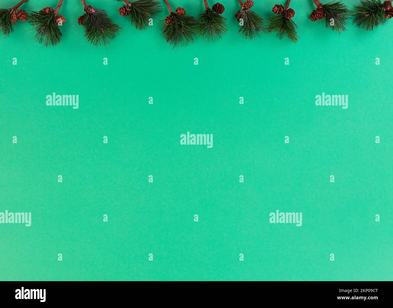 Merry Christmas and happy New Year background with fir tip branches on ...